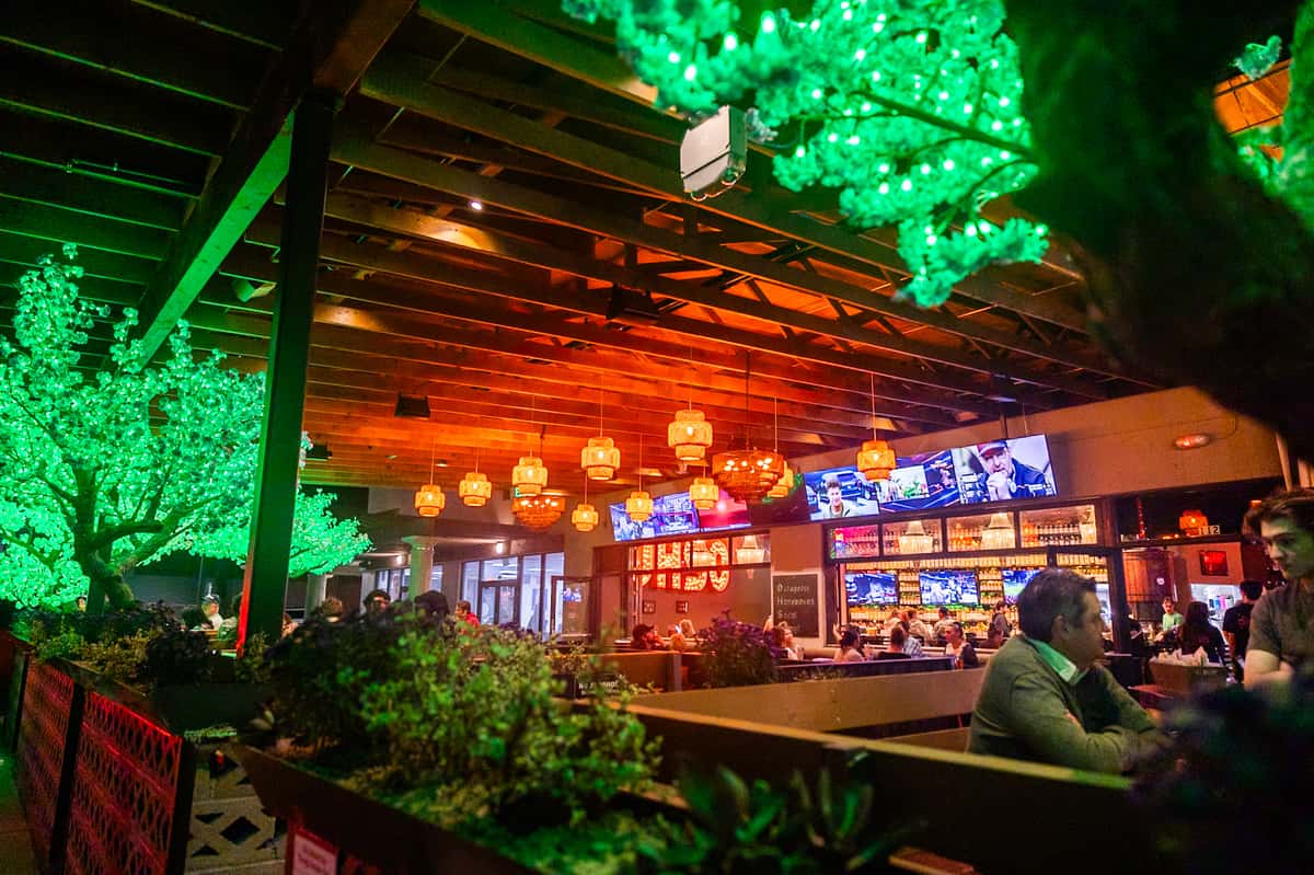 OHSO North Scottsdale patio at night with light up trees