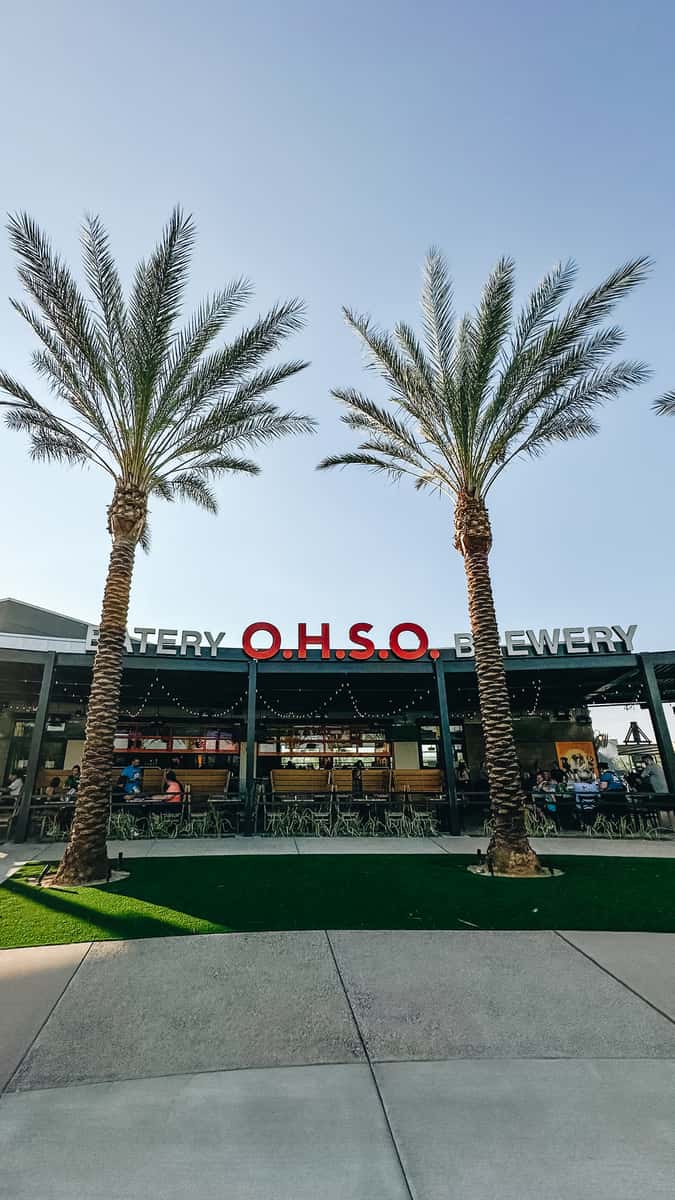 OHSO Brewery Surprise