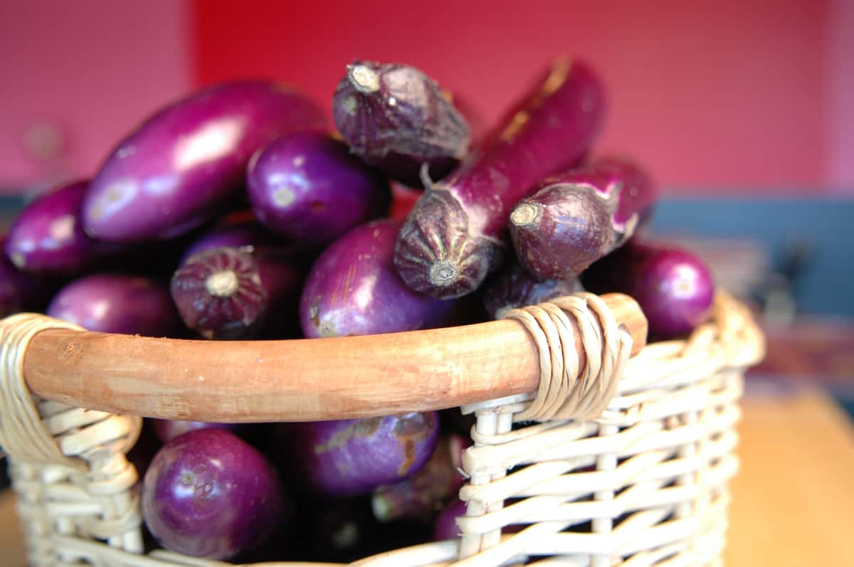Doc Chey's basket of market fresh vibrant eggplant