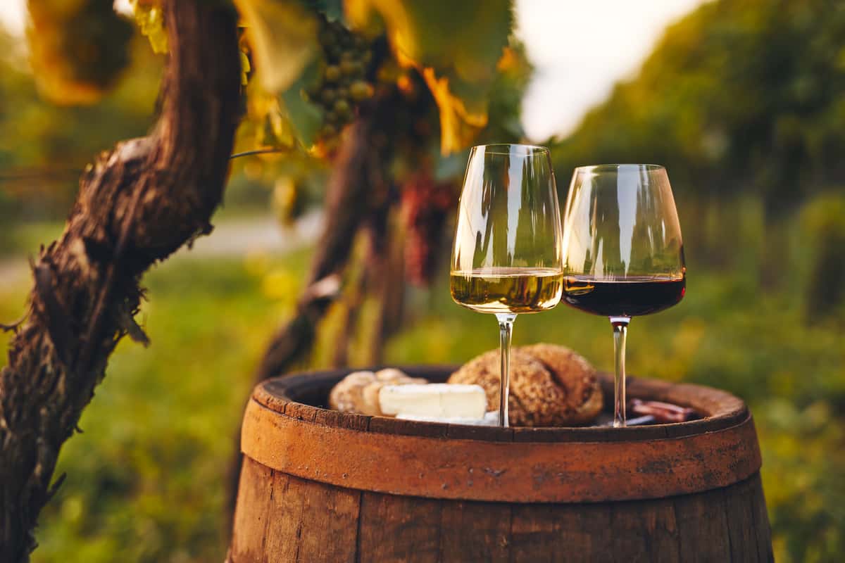 Wine glasses outdoors in a vineyard on top of a wooden barrel