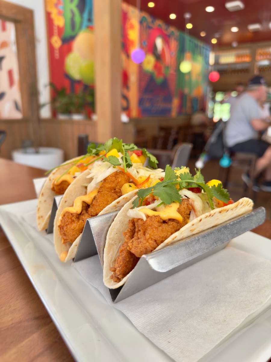 Trio of crispy fried chicken tacos in soft flour tortillas, topped with shredded lettuce, fresh pico de gallo, creamy chipotle sauce, and cilantro, served in a modern Latin-inspired restaurant setting.