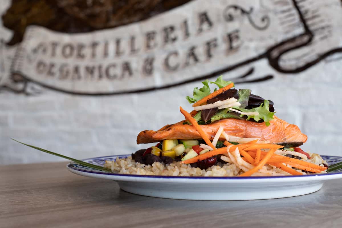Tortilleria Organica