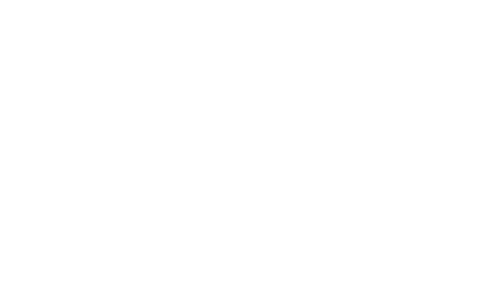 Pioneer Tavern Group