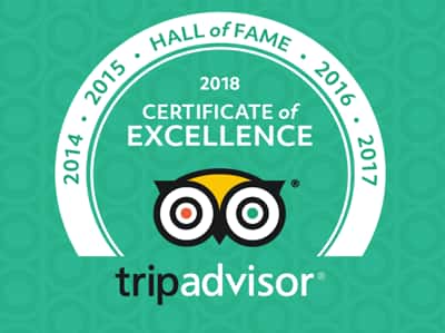 trip advisor