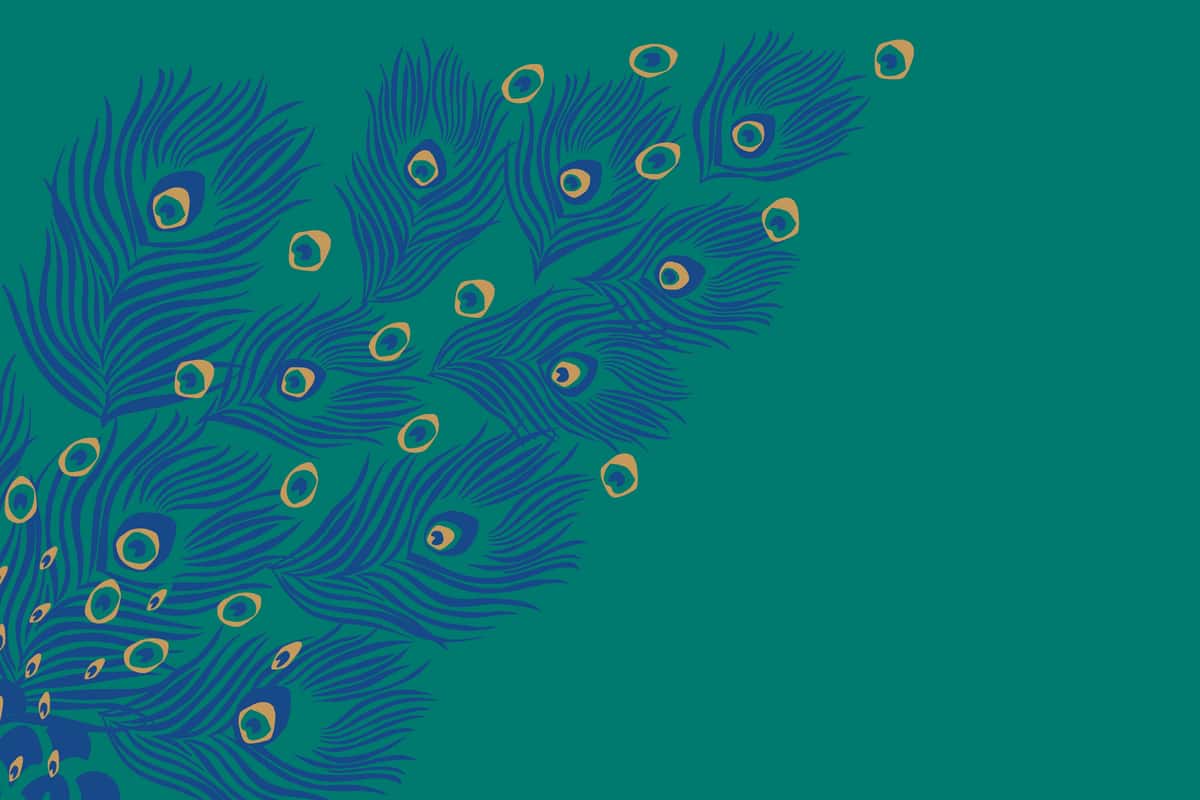 Peacock feather pattern