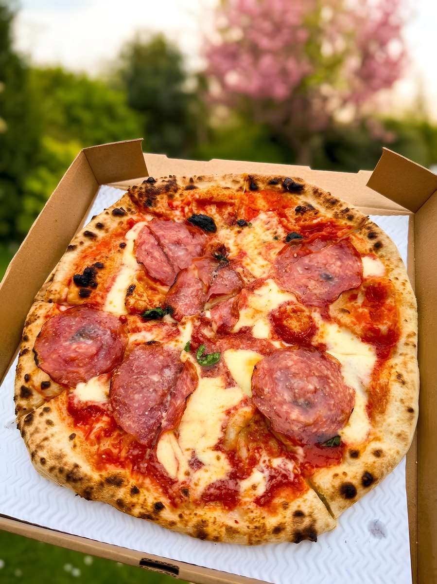 A Neapolitan-style pizza with salami, melted mozzarella, and tomato sauce in a cardboard box, outdoors.