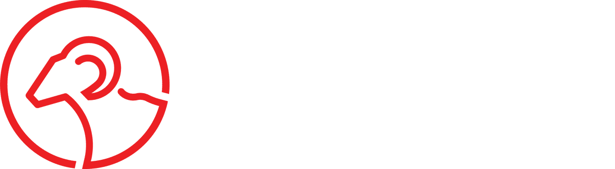 Denver Logo