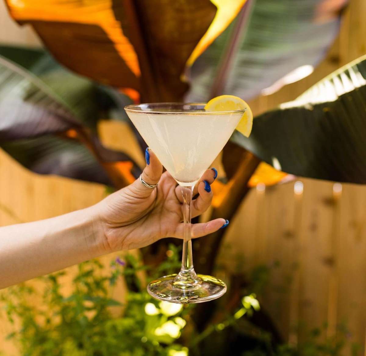 cocktail