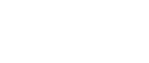 The Mockingbird