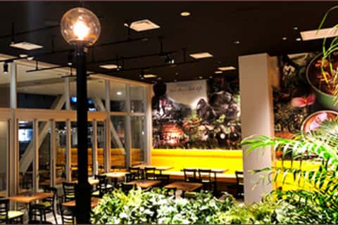 Leafy interior of Urth Caffe Terrace Mall Shonan 