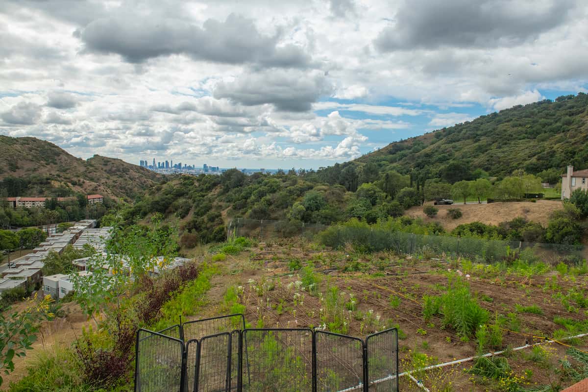 Mulholland Estate Farm & View