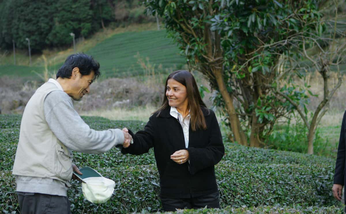 Man and woman shake hands while harvesting tea leaves
