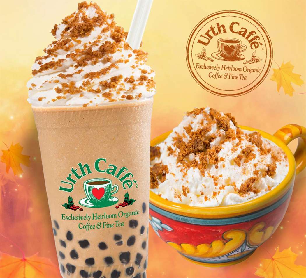 A blended pumpkin boba drink in clear plastic To Go tall cup with the Urth Caffé logo is on the left slightly tilted with a straw and a generous swirl of whipped cream on top with pumpkin pie crumbles sprinkled on top. A hot pumpkin drink is to the left in a colorful hand painted coffee cup with a large swirl of whipped Crean and crumbles on top. The background is a fall red and orange color with a few random gold leaves and in the upper right corner is a circular brown Urth Caffé stamp logo.