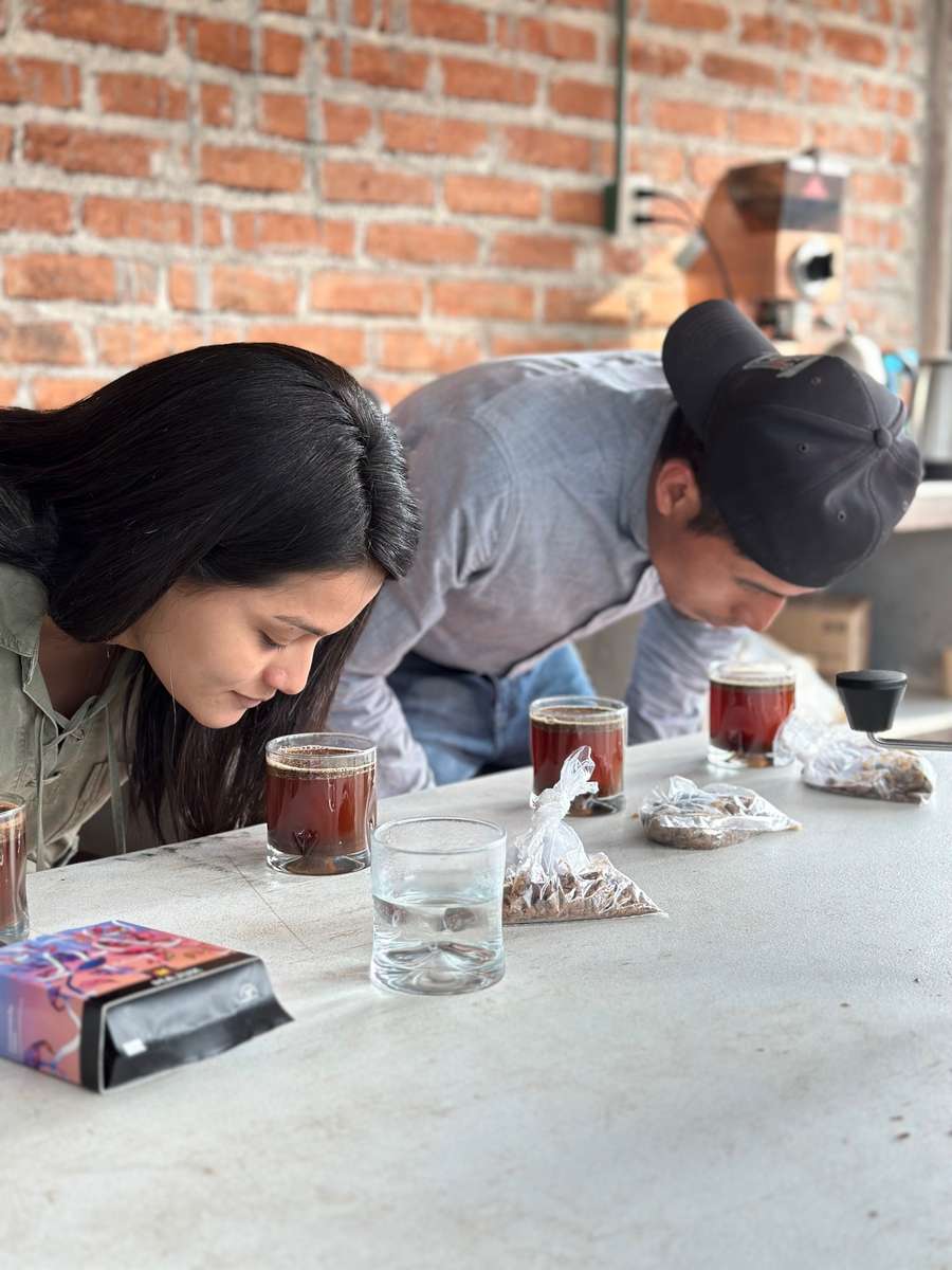 Cupping Silvia Carolina Herrera coffee 