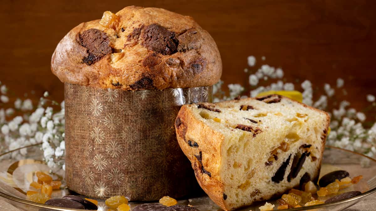 Panettone with chocolate chunks standing next to a quarter slice on a plate with white baby's breath flowers in background