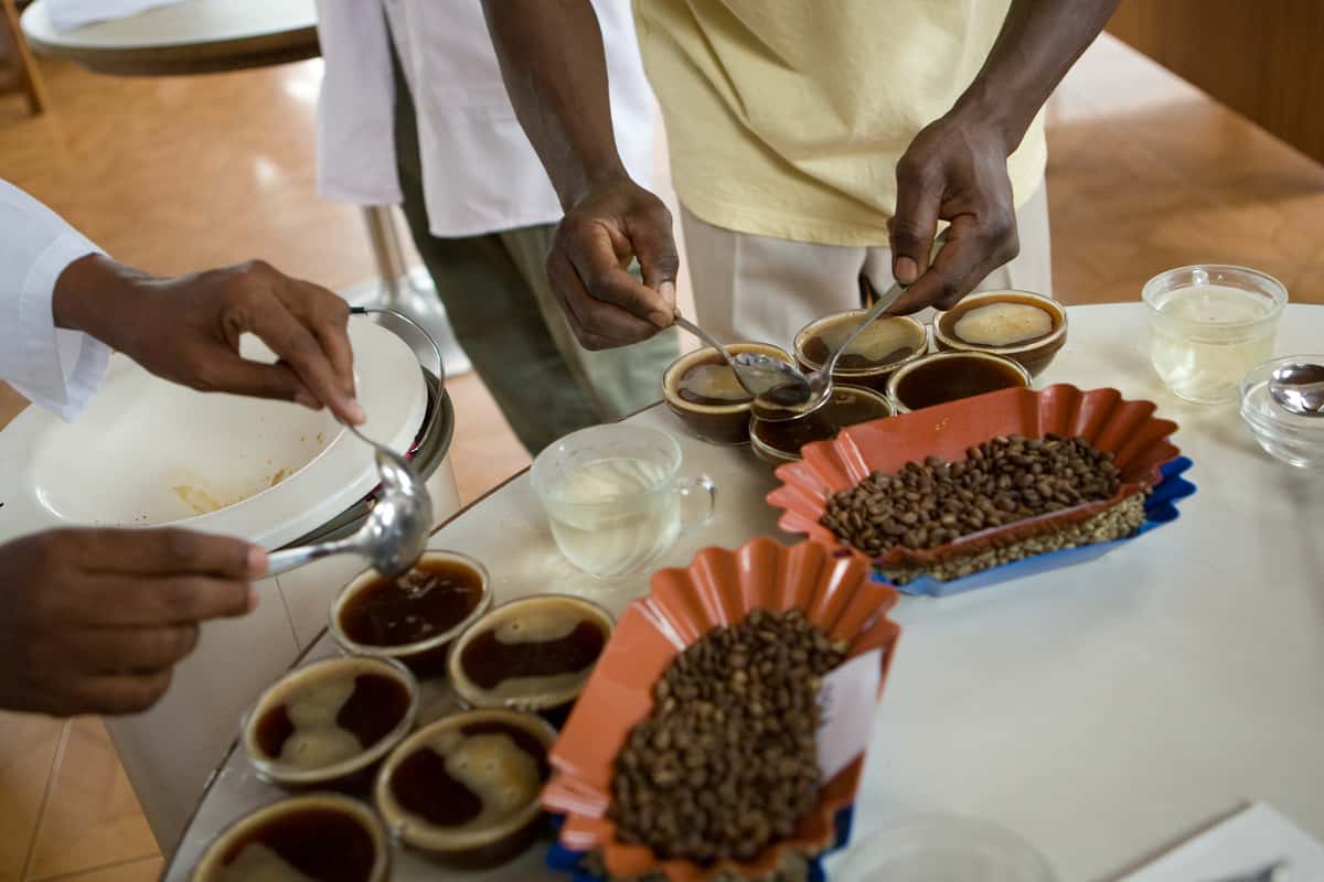 hot water is poured into cups with coffee grounds