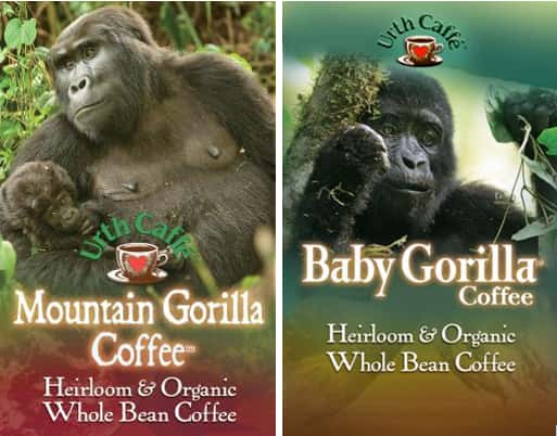 Mountain Gorilla Coffee and Baby Gorilla Coffee