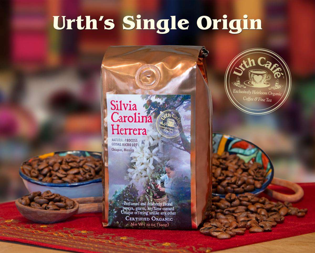 Silvia Carolina Coffee