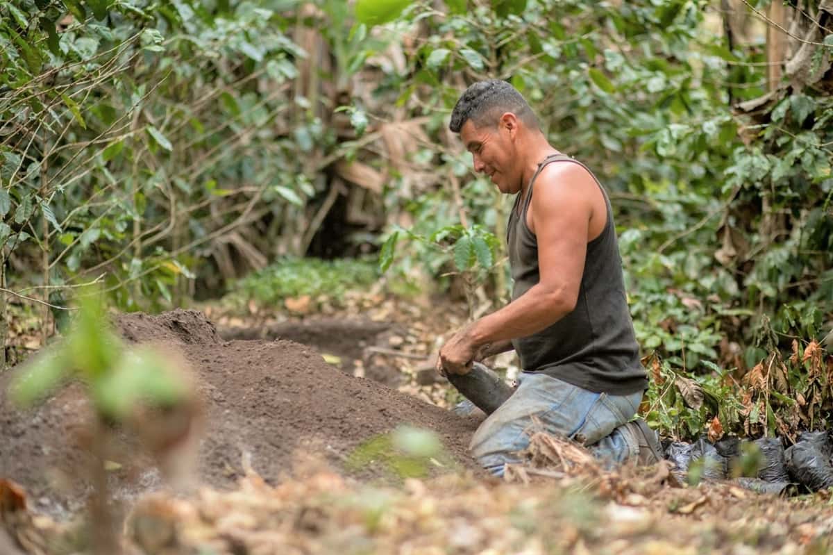 Francisco Polanco kneeling next to a pile of rich compost soil.