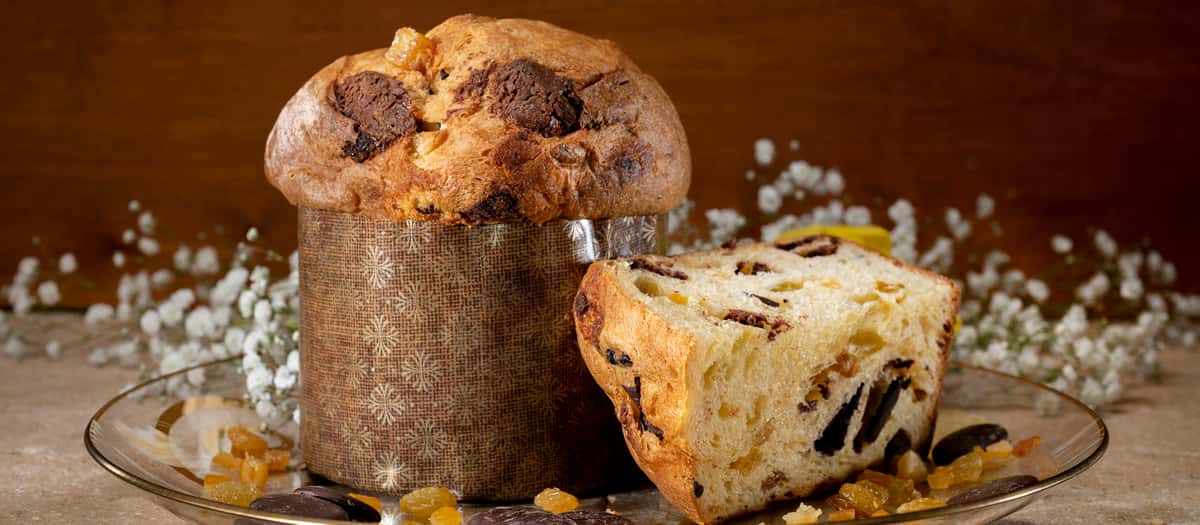 Panettone with chocolate chunks, quarter-slice of panettone, baby's breath flowers in background.