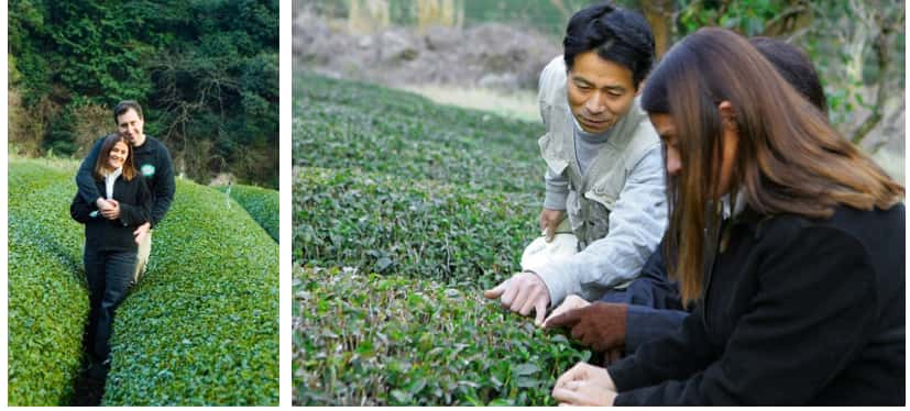 At left, Jilla and Shallom Berkman stand in a tea field in Japan. Right photo, tea farmer shows plants to Jilla Berkman.