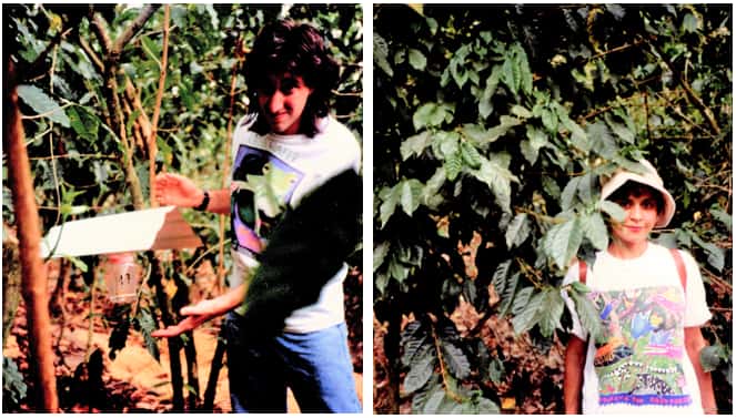 Left photo - Shallom Berkman shows natural pest repellent used at Chiapas Mexico coffee farm. Right photo, Jilla Berkman stands next to coffee tree at Chiapas coffee farm