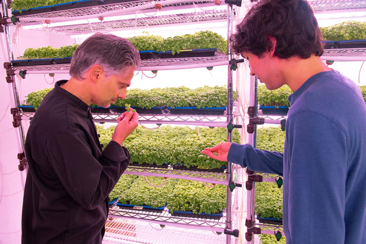 Chef Davide Giova and Julian of Mulholland Estate