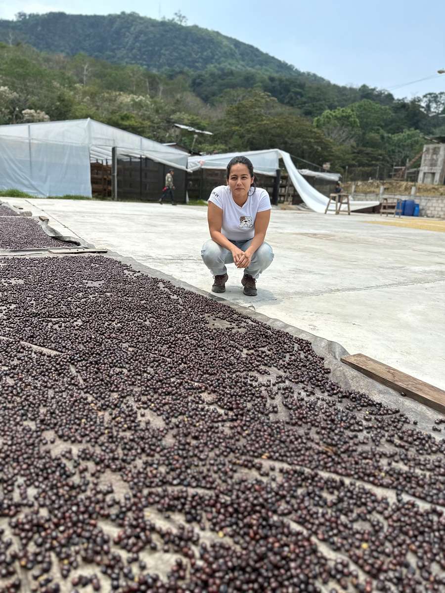 Inspecting dried coffee cherries