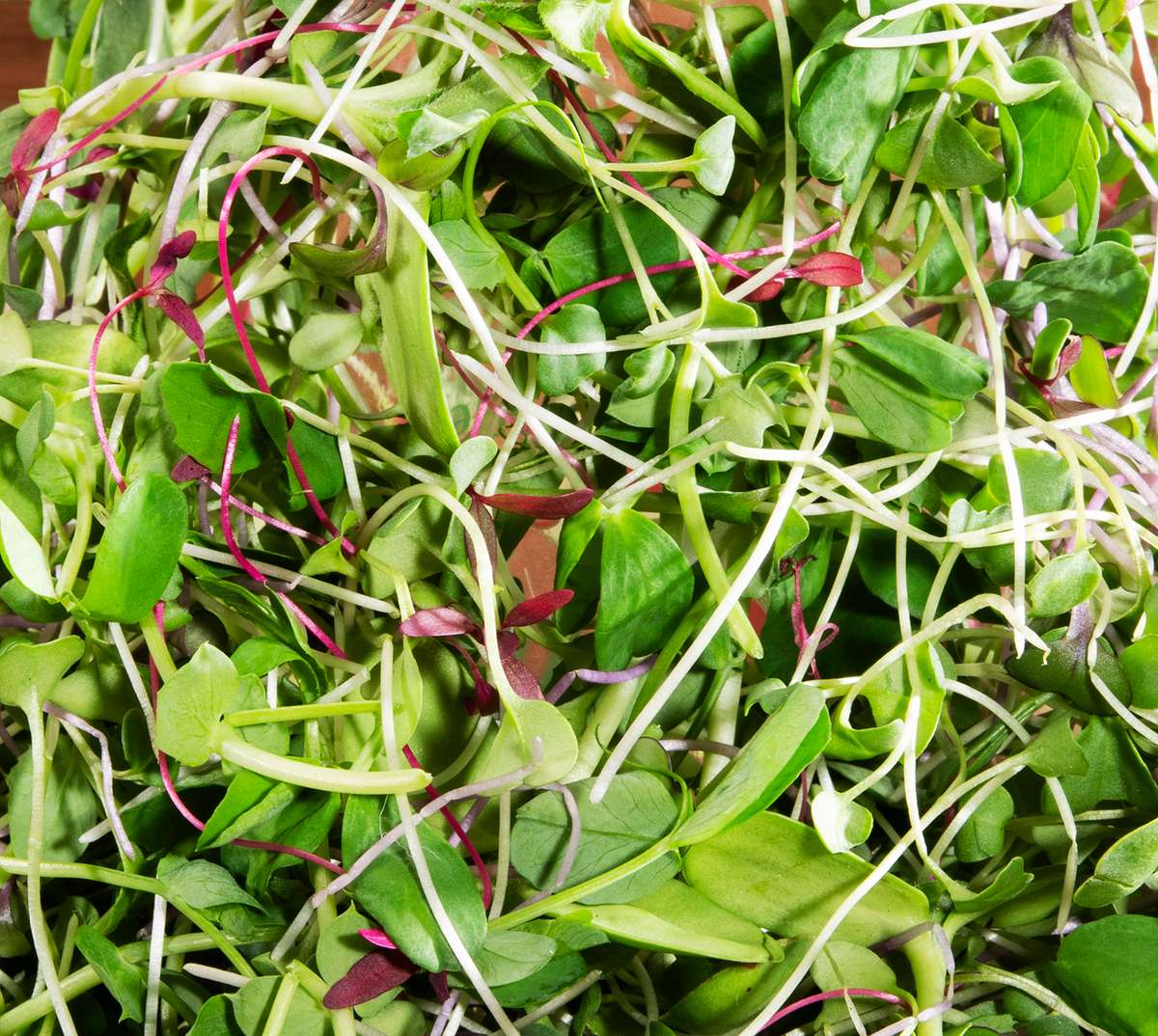 Microgreens tower