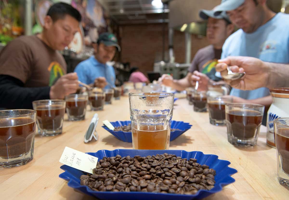 5 men sit around a table cupping coffee. Dish of coffee grounds in foreground.