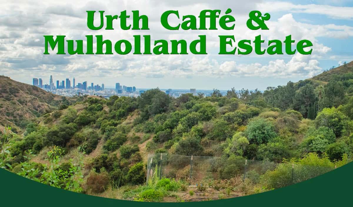 Urth Caffé Mulholland Estate. photo looking from the green Hollywood Hills towards the LA downtown skyline with scattered clouds