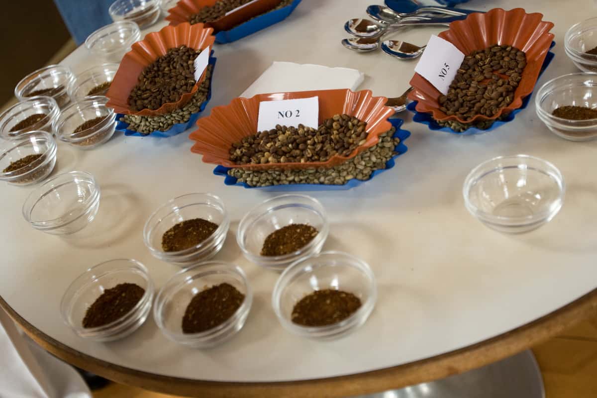 coffee grounds in bowls in front of coffee beans in dishes