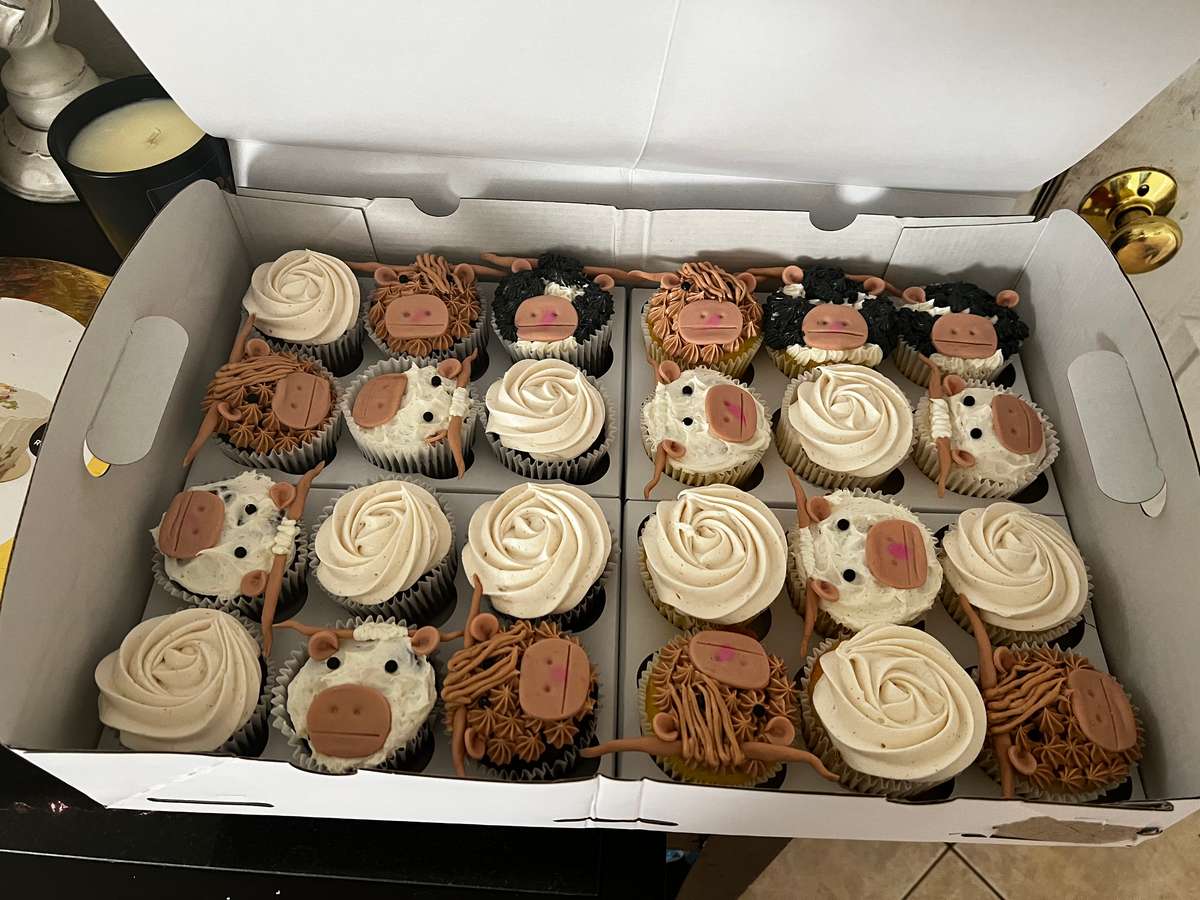 custom cupcakes batch order