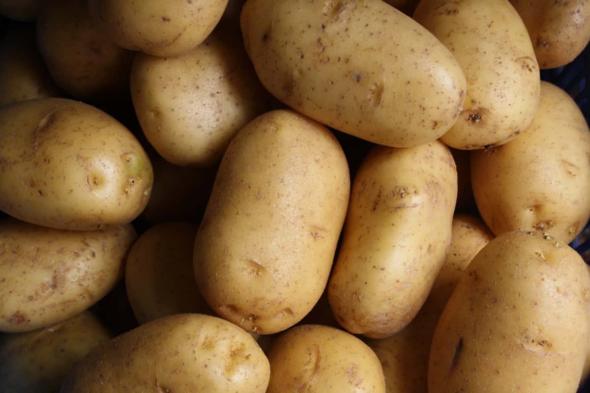 potatoes uncooked