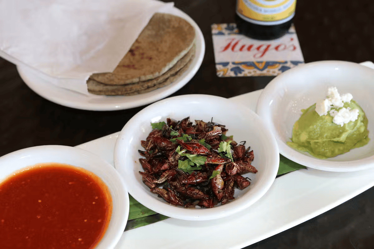 Traditional Oaxacan chapulines served with house-made sauces and tortillas at Hugo's authentic Mexican restaurant.