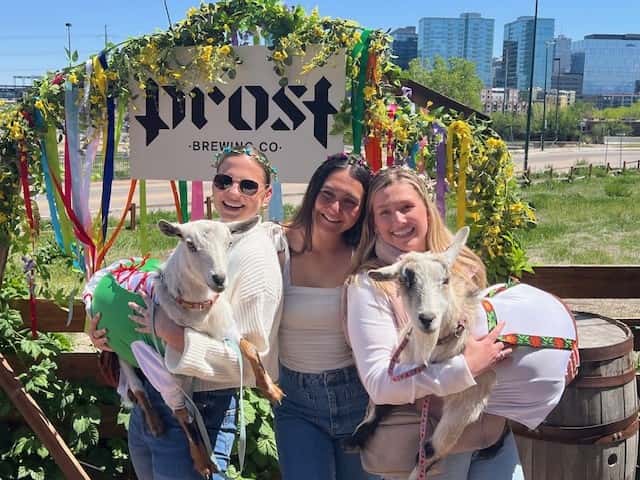Maifest Goats