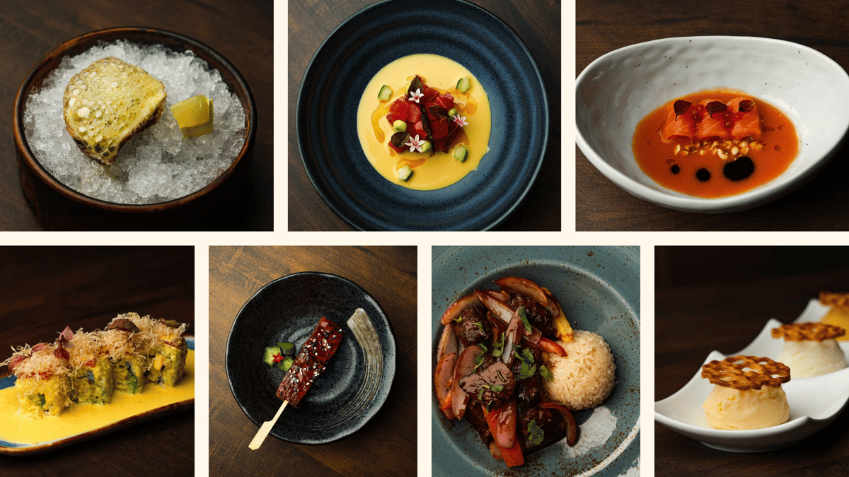 Elegant Nikkei tasting menu presentation featuring fresh ceviche, tiraditos and Peruvian-Japanese dishes at Pacha Nikkei in Houston.