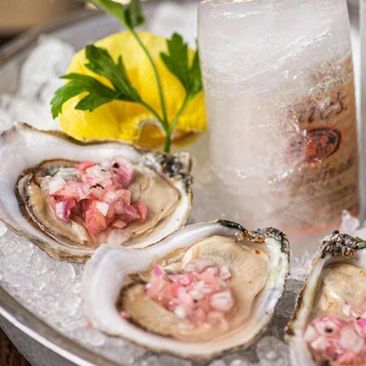 Oysters