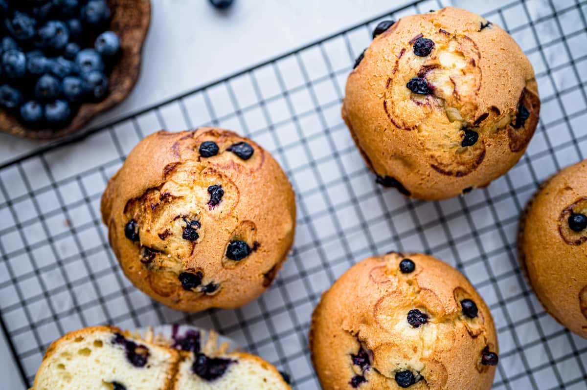 blueberry muffins