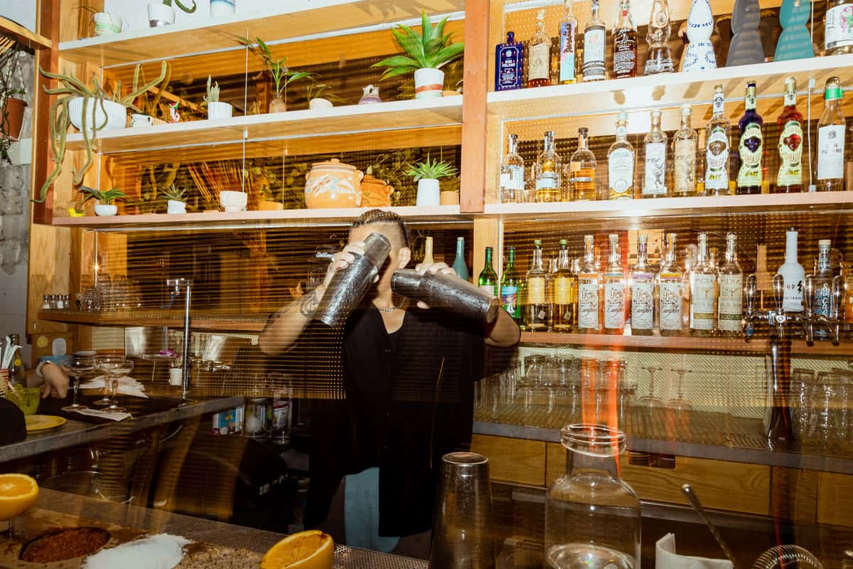 Shaking your favorite cocktail