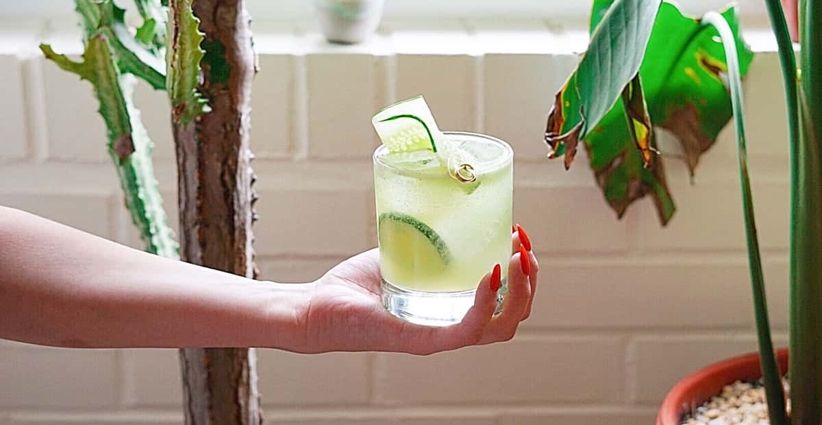 serving mezcal cocktails in manhattan and brooklyn