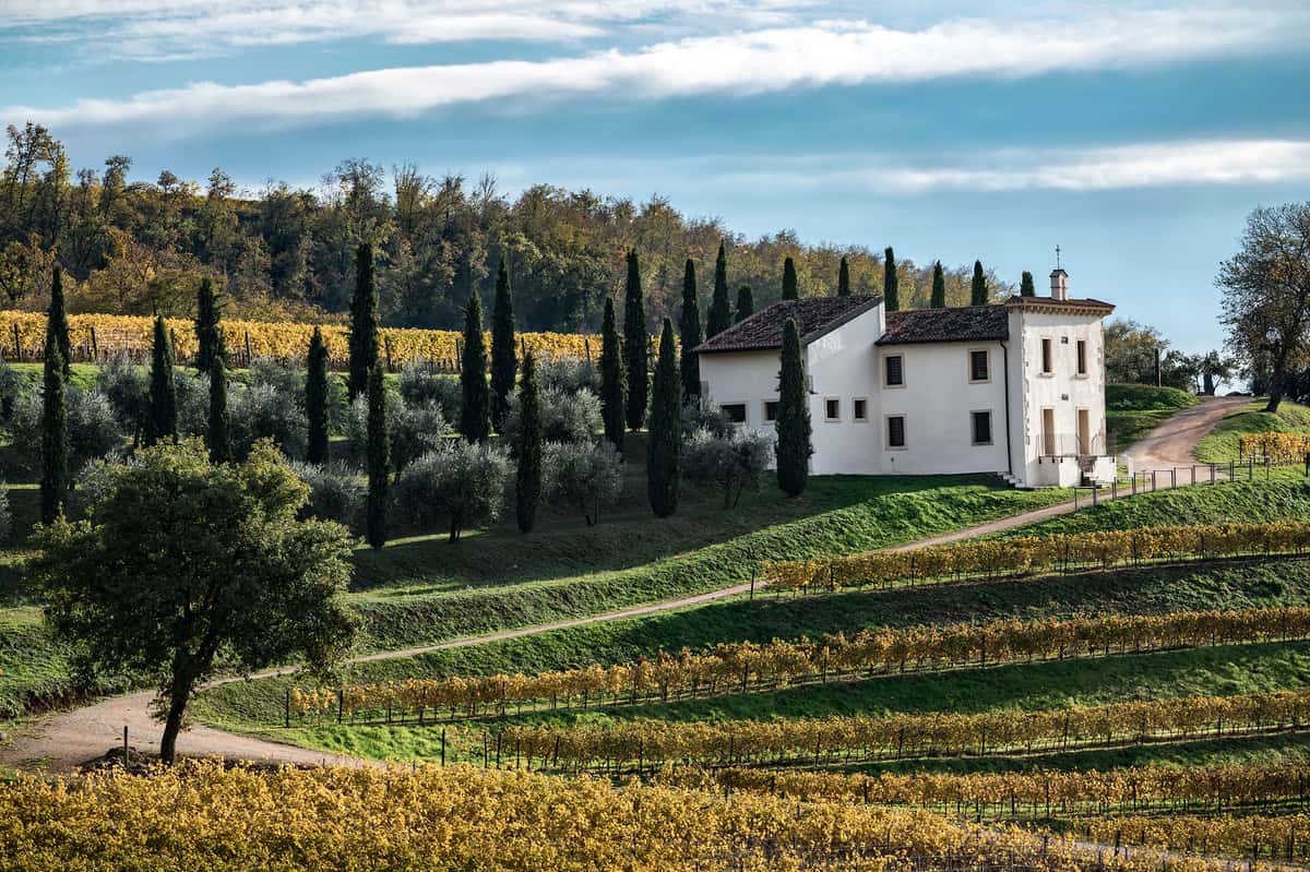 Bertani Wine Dinner