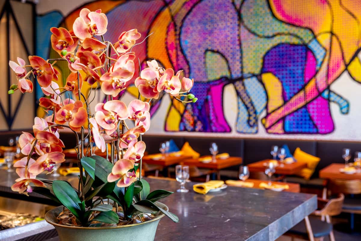 Pink orchid arrangement on a bar counter with a vibrant elephant mural and neatly set dining tables in a modern restaurant interior.