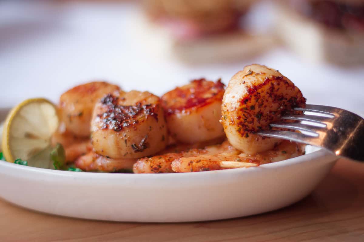 scallops
