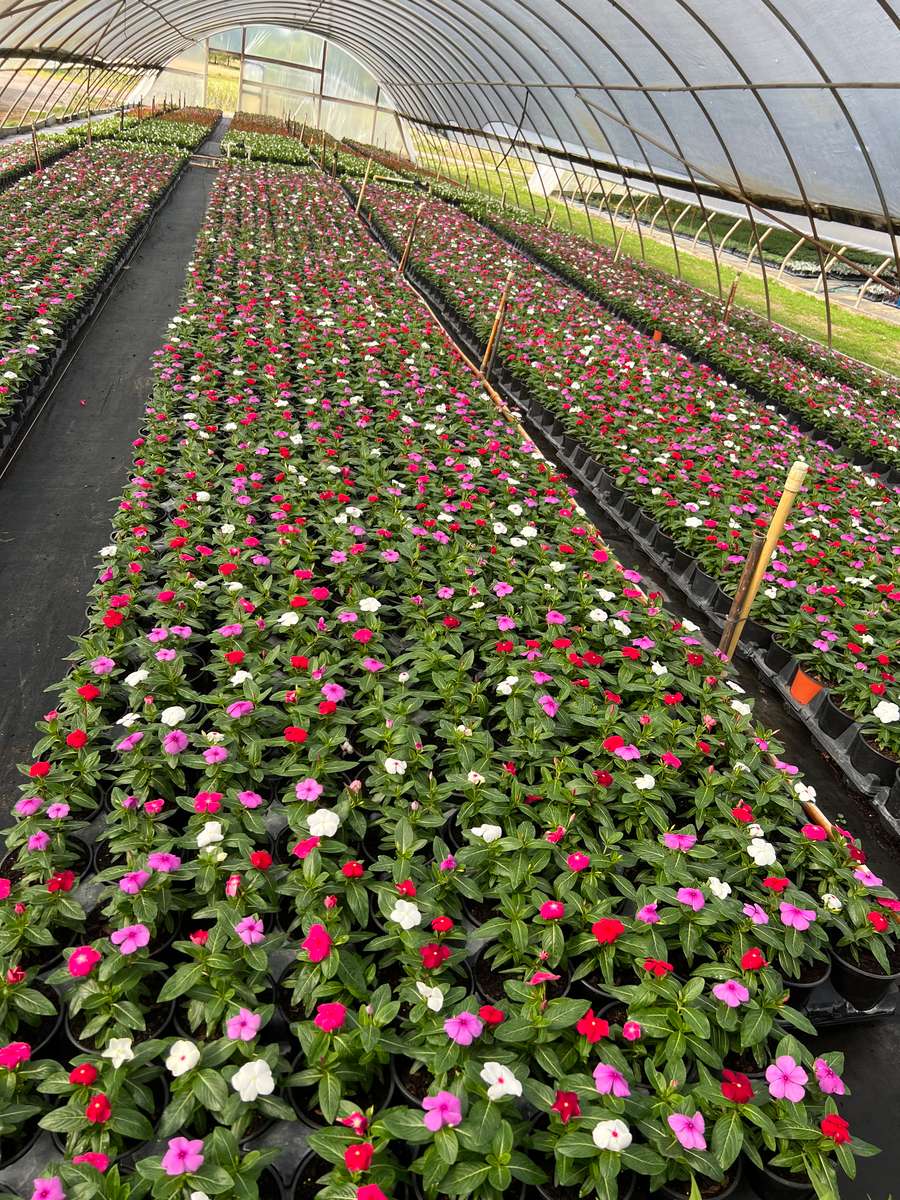 Nursery