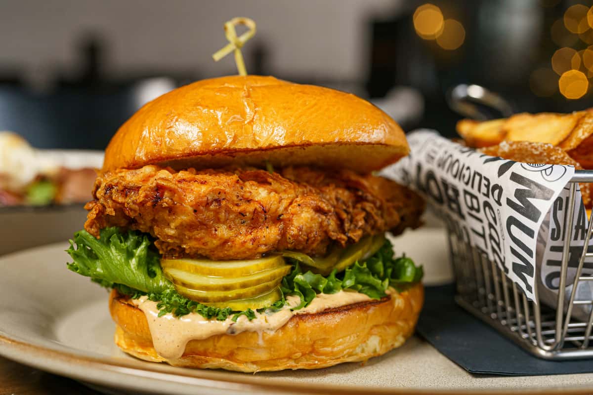 chicken sandwich