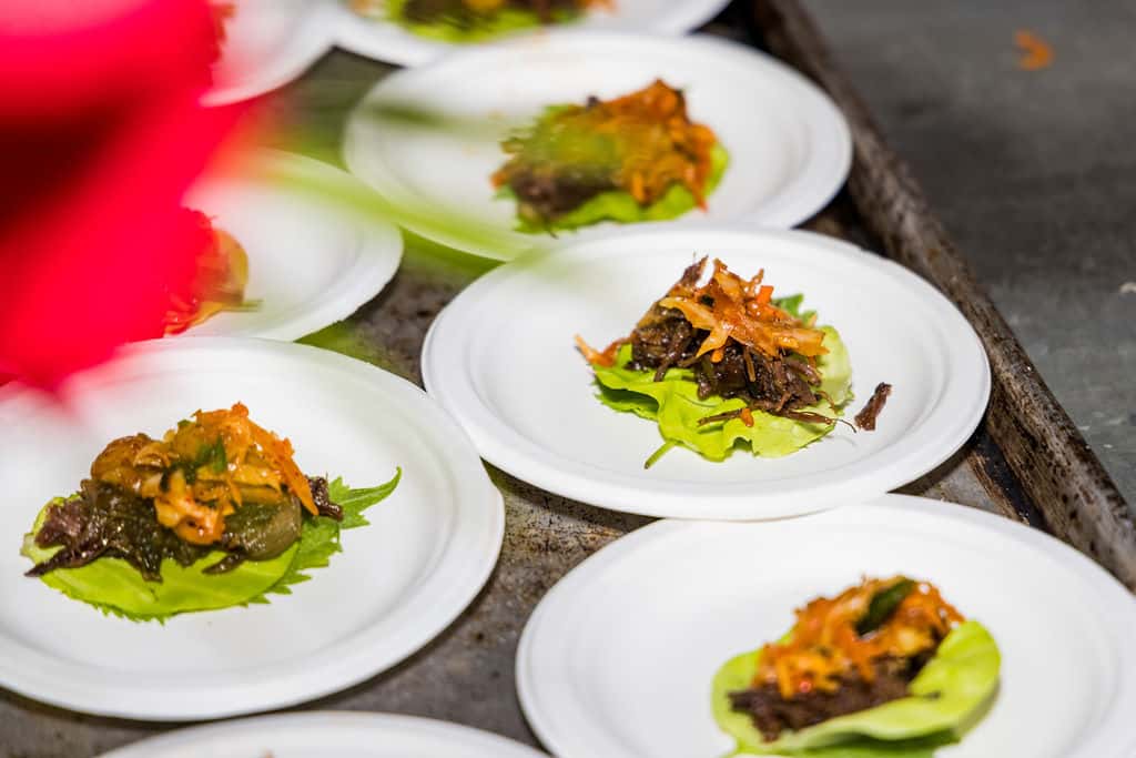 Sunset Feast 2024