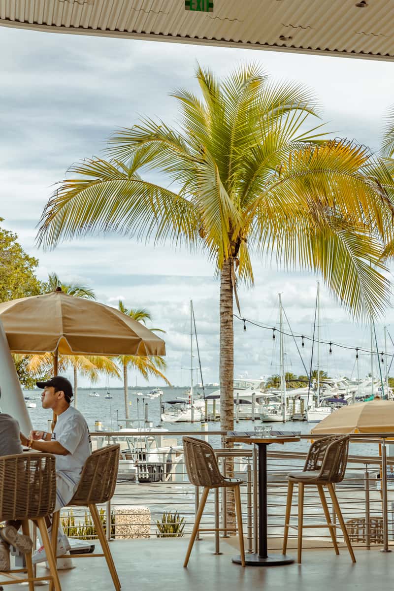 Tropical waterfront dining area overlooking palm trees, sailboats, and the marina.