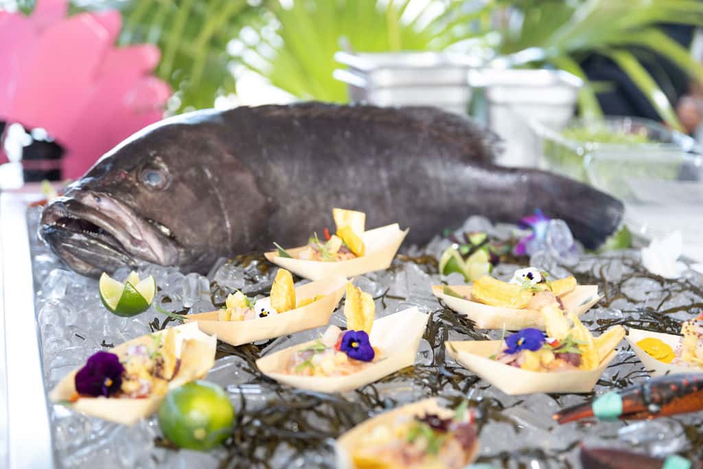 Sunset Feast 2024