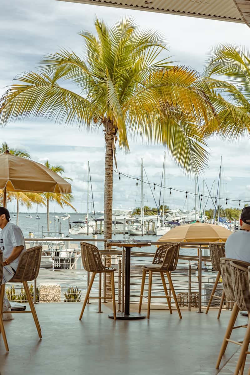 Marina restaurant patio with palm trees, outdoor seating, and boats in the background